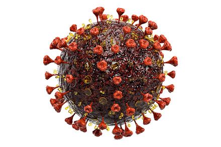 Corona virus COVID-19 virus cell