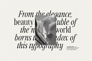 Ophelia - Modern Serif Font