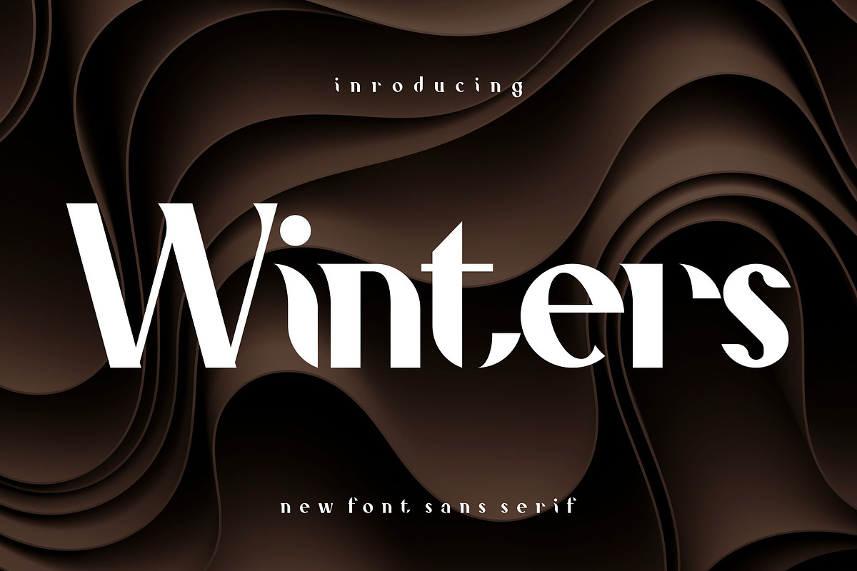 Winters, a Sans Serif Font by riotama85 (Photo 1 of 6)