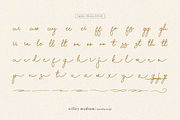 Willey Medium | Monoline Script Font, a Script Font by Denustudios (Thumbnail 16 of 16)
