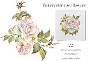 Romantic Watercolor Rose Clipart, a Decorative Illustration by Jeanna Draw (Thumbnail 2 of 17)