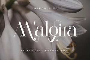 Malgira Modern Ligature Serif