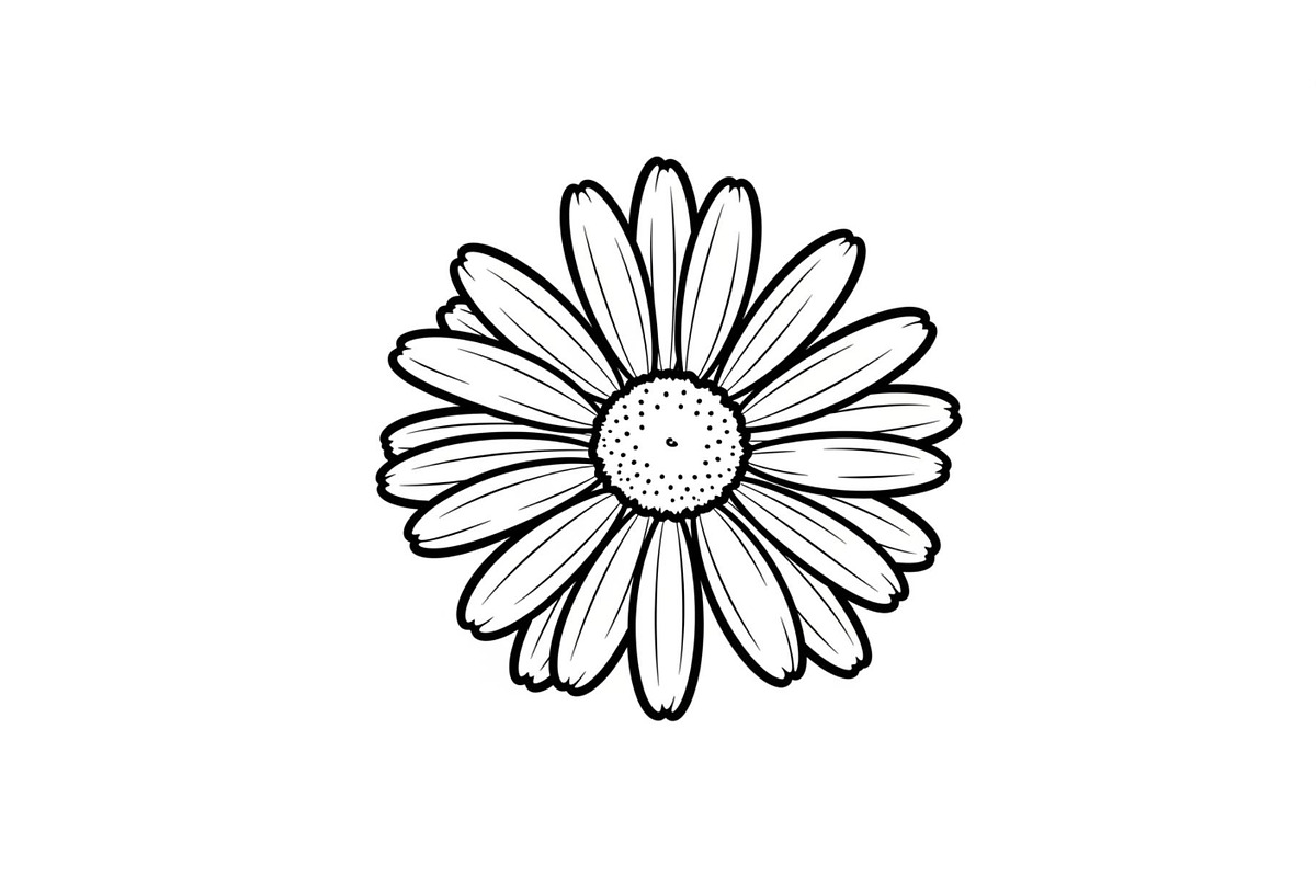 Daisy Flower Line Art Vector Bundle0, an Illustration by jahid234 (Photo 23 of 51)