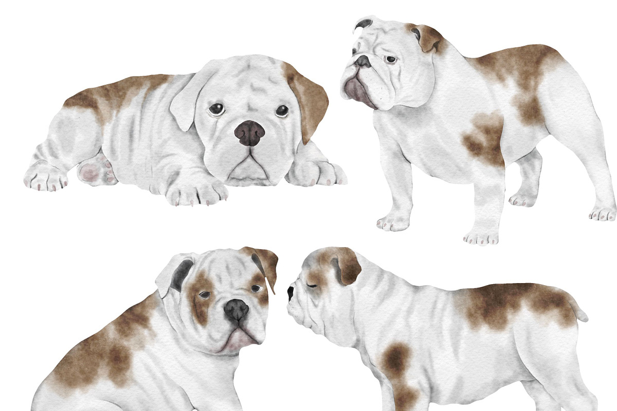 Watercolor Cat & Dog Illustration, an Animal Illustration by ArtbyHien (Photo 2 of 7)