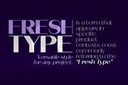 Modernity-A Complete Sans Serif, a Sans Serif Font by artisans (Thumbnail 4 of 8)