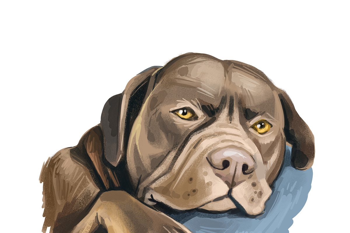 100 Dog Breeds Popular in the World, an Illustration by Dneprstock (Photo 5 of 5)