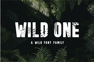 Wild One - A Wild Font Family