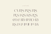 Brisca - Sans Serif Modern Font, a Sans Serif Font by suhadidesign (Thumbnail 12 of 13)