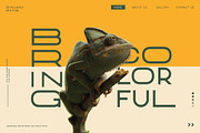 Rinjani Sans - Wide Stretch Typeface, a Sans Serif Font by CCS Type (Thumbnail 2 of 24)