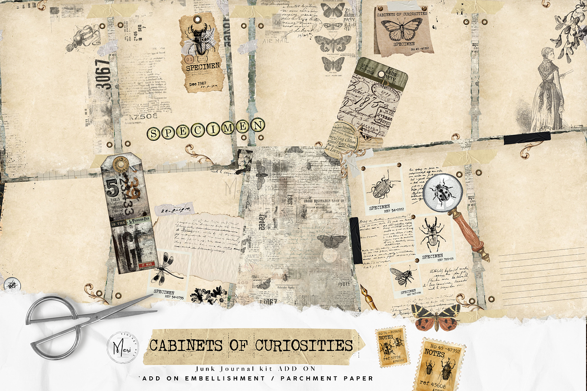 Cabinet of Curiosities junk journal, a Decorative Illustration by meribela (Photo 1 of 7)