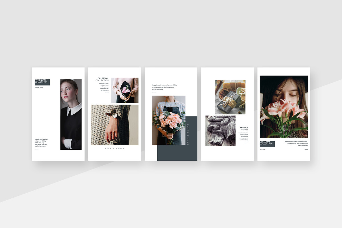 Hickory Animated Instagram Stories, a Social Media Template by Studio Sumac (Photo 3 of 6)