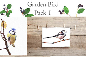 7 Garden Birds- Pack 1