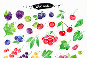 Berries Watercolor Collection, an Object Graphic by Sonya Illustrations (Thumbnail 3 of 4)