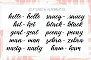 Birds of Paradise Brush Script, a Handwritten Font by sarahtypes (Thumbnail 4 of 5)