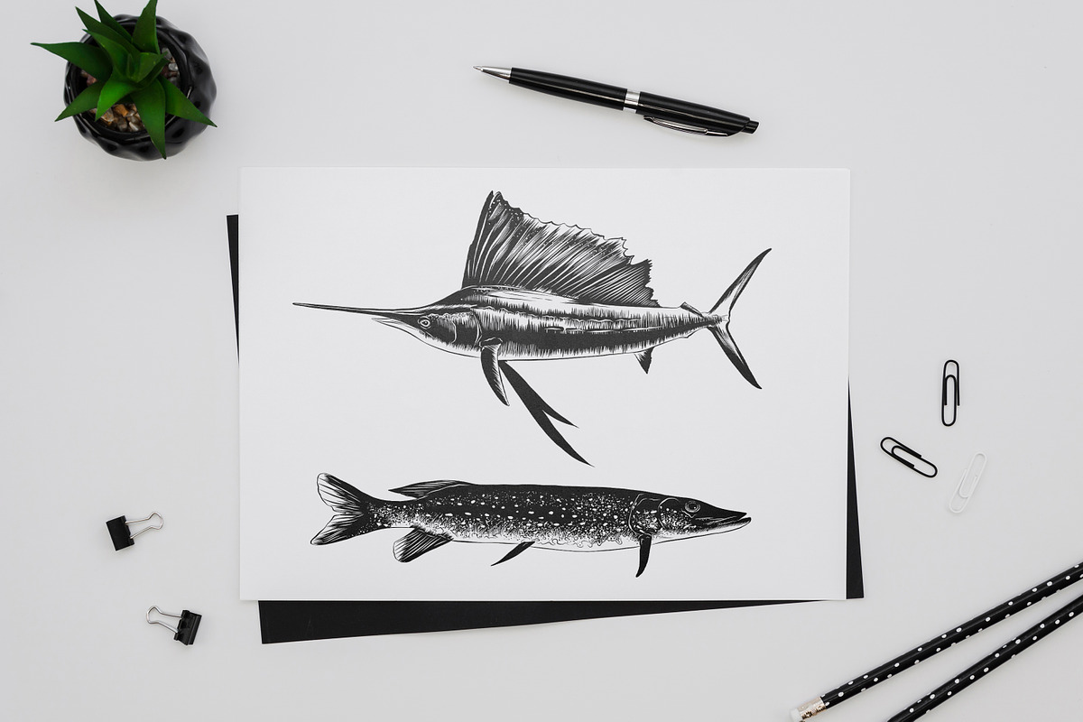 Fishing hand drawn logo elements, an Animal Illustration by Akimo Mia (Photo 5 of 5)