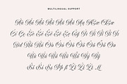Delirian Script & Ornaments, a Script Font by Andrey Sharonov (Thumbnail 16 of 16)