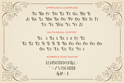 Borian Font, a Script Font by Runsell Studio (Thumbnail 4 of 4)