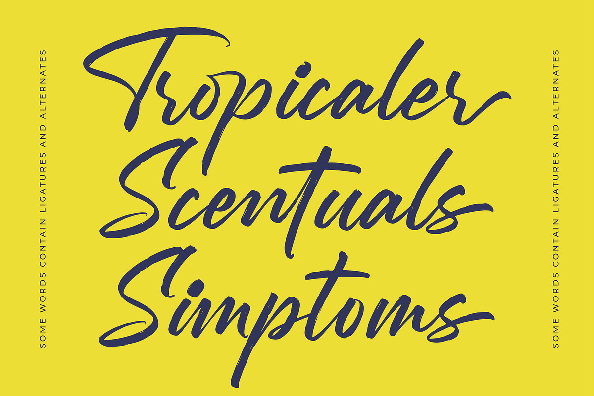 Mention Roberto Modern Brush Font, a Script Font by stylishtype.co (Photo 15 of 20)