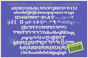 Forest Wonders New Collection Serif, a Serif Font by timelesstype.co (Thumbnail 10 of 10)