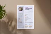 CV Resume Financial Manager V2, a Resume Template by productype1 (Thumbnail 3 of 3)