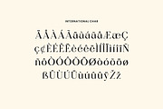 Candlefish Stylish Modern Serif Font, a Serif Font by UICreative (Thumbnail 8 of 13)
