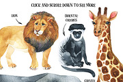 African Mainland-illustration set, an Animal Illustration by KatBranchArt (Thumbnail 2 of 6)