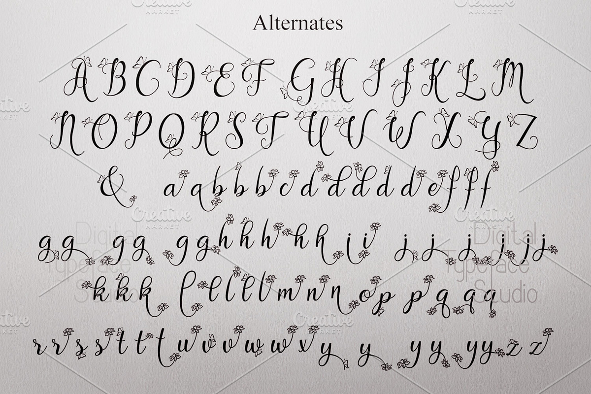 Gloryta, a Script Font by Digital Typeface Studio (Photo 3 of 7)