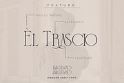 BAGISKO Modern Serif Font, a Serif Font by Storytype Studio (Thumbnail 11 of 15)