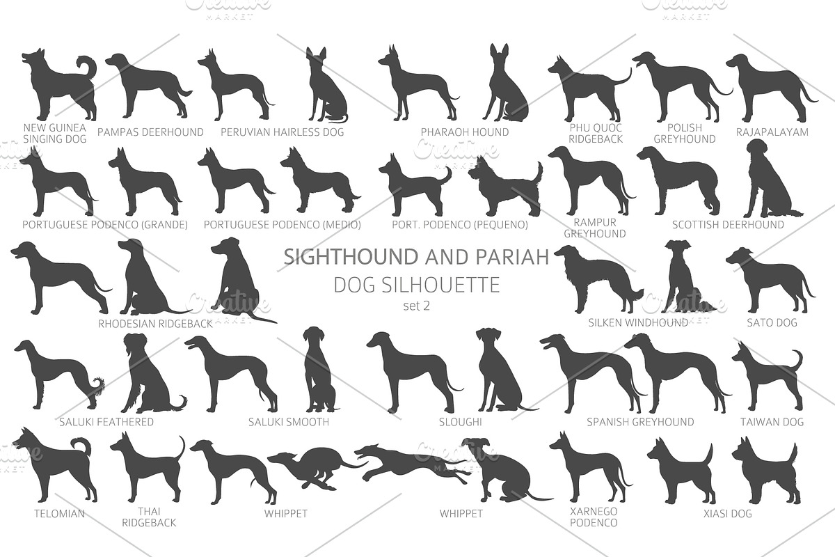 Sighthound and Pariah dog Silhouette, an Animal Illustration by pet design shop (Photo 5 of 9)