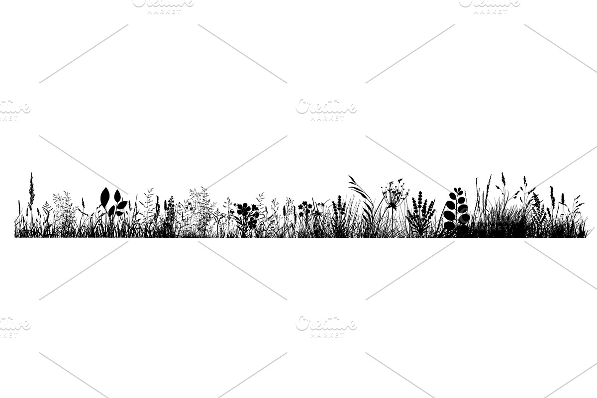 Silhouette of grass horizon. Border, an Object Illustration by Nenahliadava Design