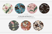 Elori Exotic Watercolor Patterns, a Pattern Graphic by LEAFure (Thumbnail 2 of 10)