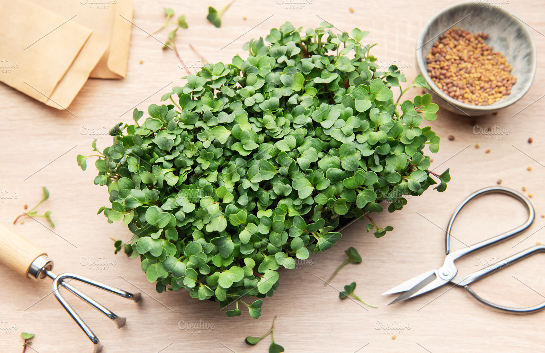Microgreens growing kit with gardening tools and seeds on table, a Food & Drink Photo by Olena Rudo