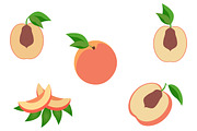 Fruits and vegetables (vector), an Object Graphic by pashigorov (Thumbnail 2 of 8)