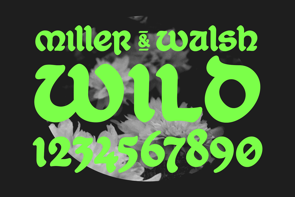 Wanderland Display Font, a Script Font by Vintage Type Company (Photo 4 of 9)
