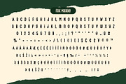 Fox Maggie: 4 Font Styles, a Handwritten Font by Fox7 By Rattana (Thumbnail 9 of 13)