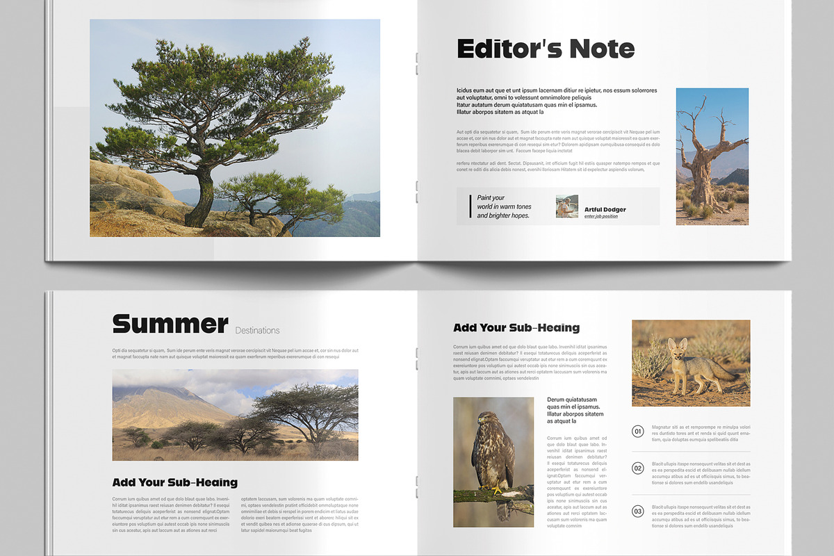 Sunny Summer Magazine Template preview 4