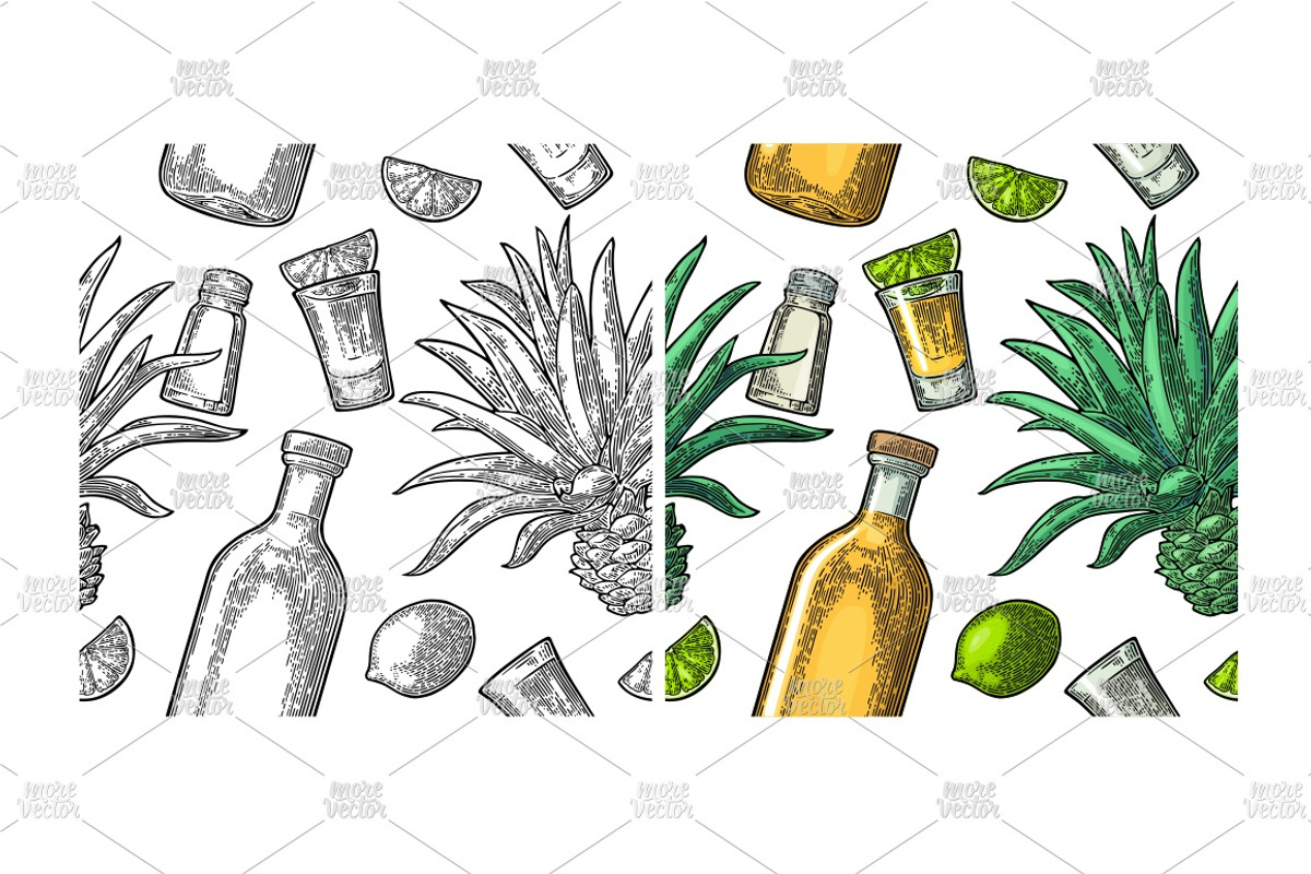 Tequila. Illustrations and posters, an Illustration by MoreVector (Photo 10 of 11)