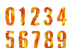 Autumn Leaves Alphabet [Vector]
