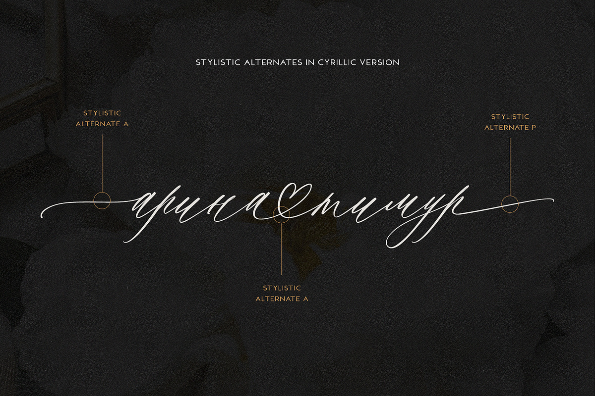 Saint Viet | Calligraphy Font, a Script Font by Calamar Studio (Photo 28 of 29)