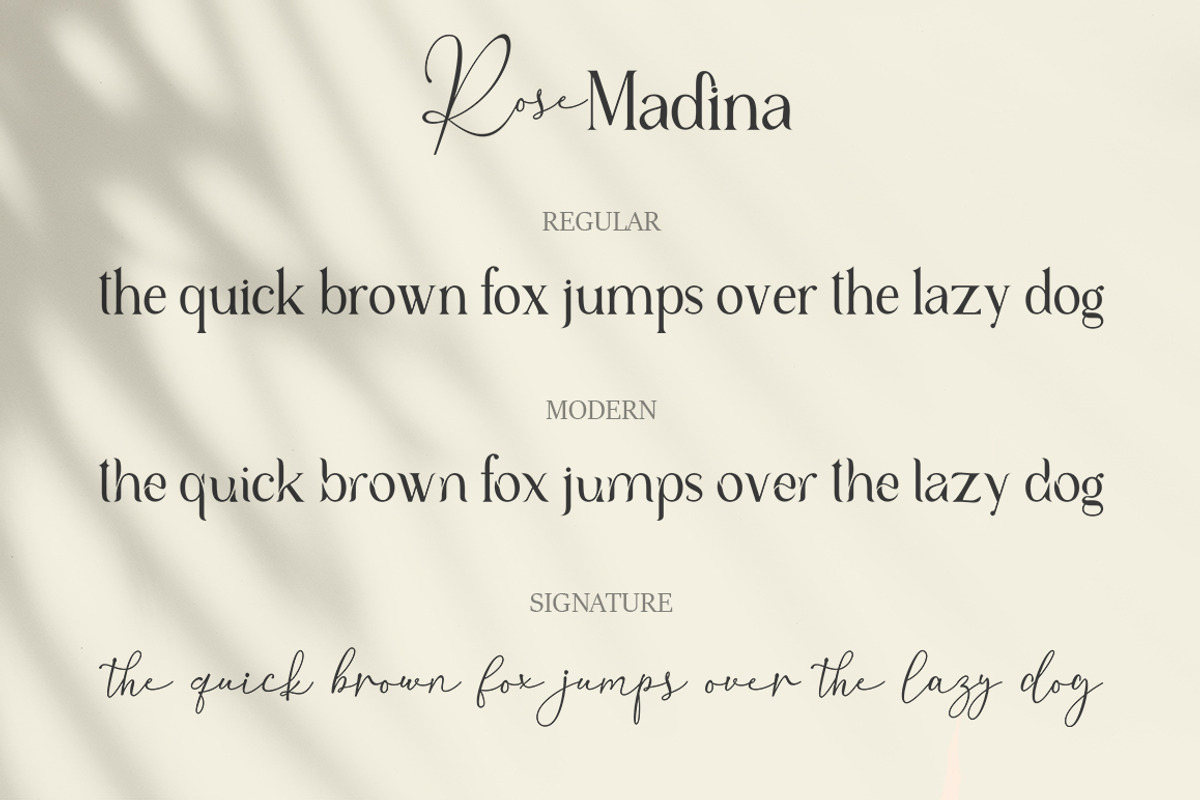 Rose Madina, a Serif Font by Struggle Studio (Photo 9 of 12)