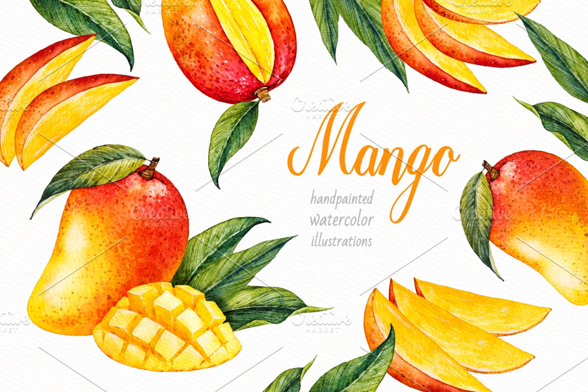 Mango. Watercolor., a Decorative Illustration by Ekaterina Mikheeva (Photo 1 of 4)