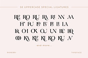 Roserri - Modern Ligature Serif, a Serif Font by Vesvocrea (Thumbnail 9 of 15)