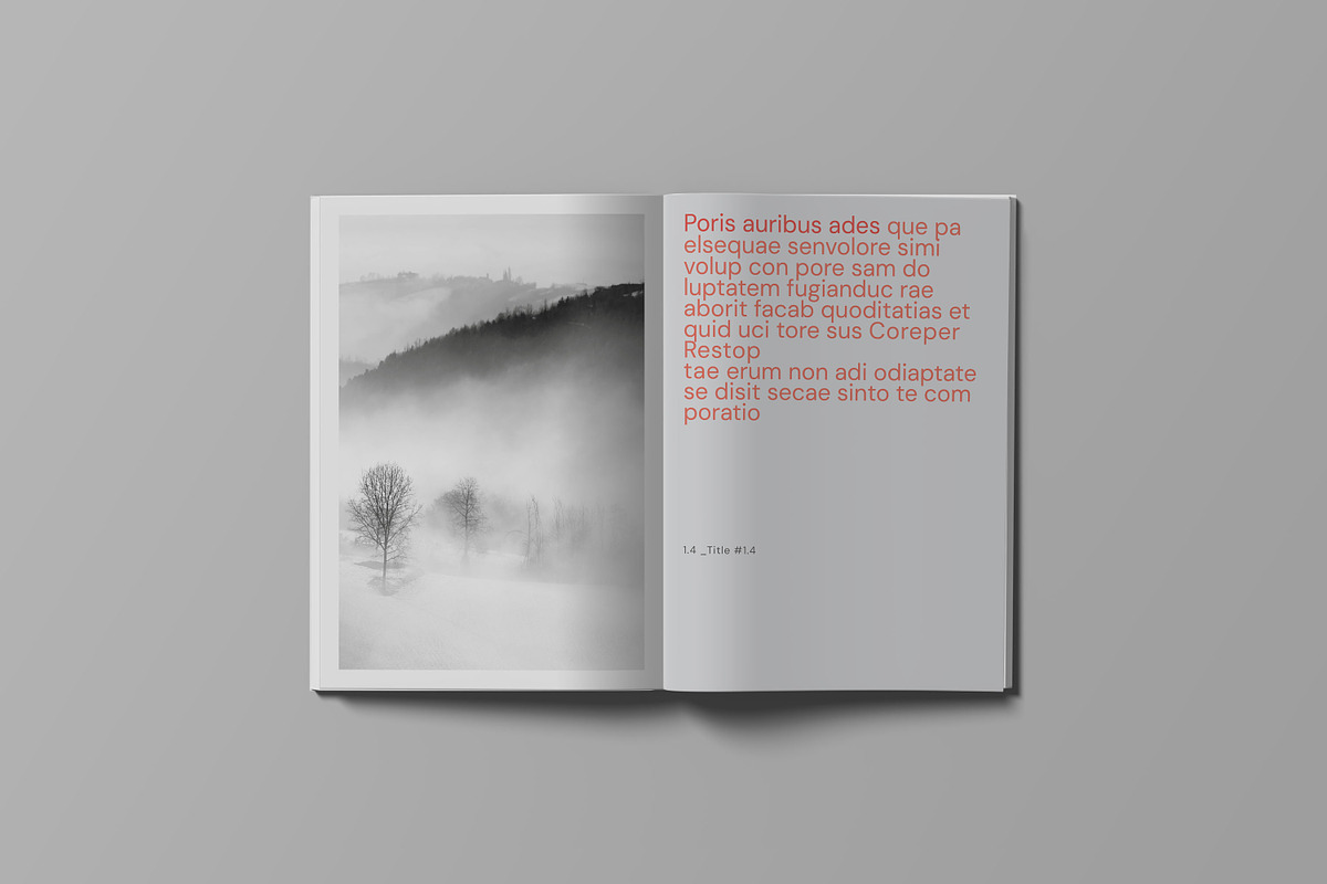Put Your Book Title Here preview 3