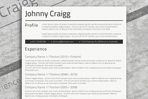 Professional MS Word CV