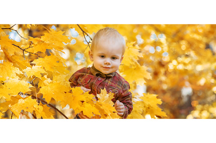 Little kid boy in the park on autumn, a Nature Photo by yanadjana
