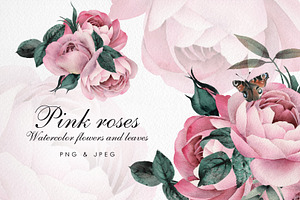 Watercolor Flower Clipart, Roses