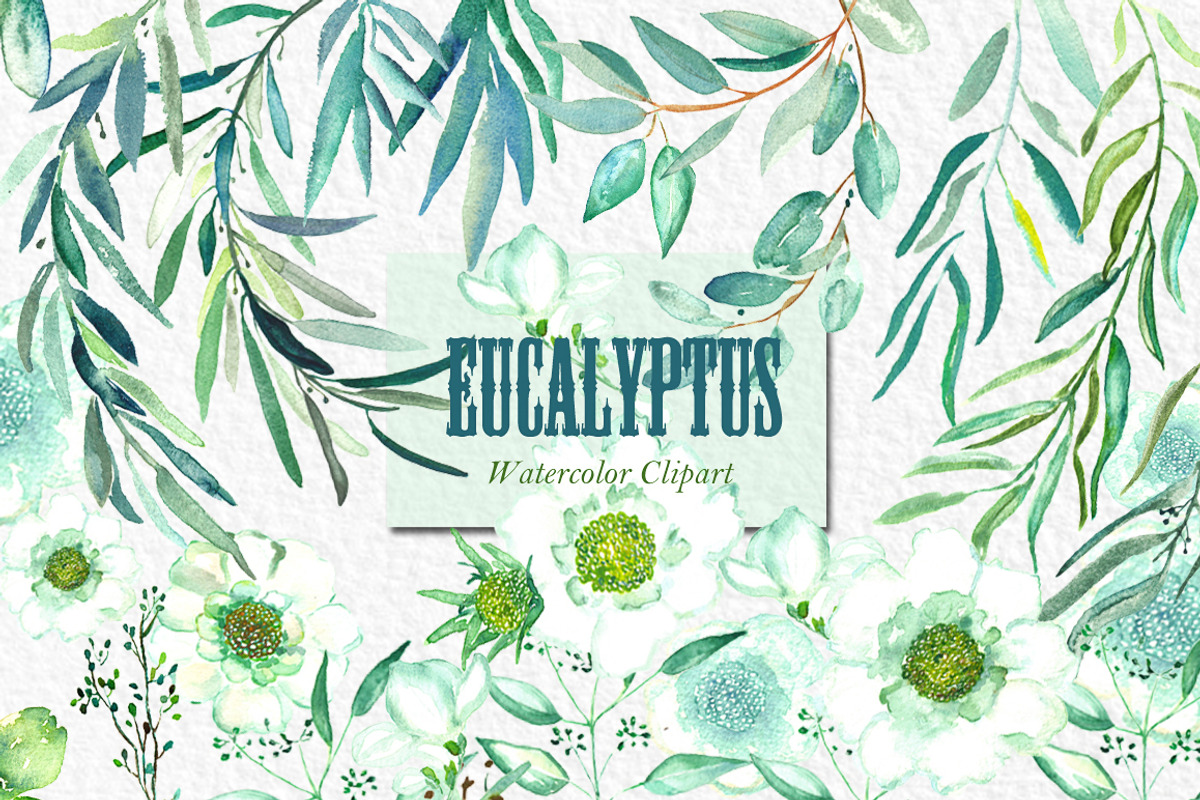 Eucalyptus Watercolor Greenery, a Healthcare Illustration by LABFcreations (Photo 7 of 11)