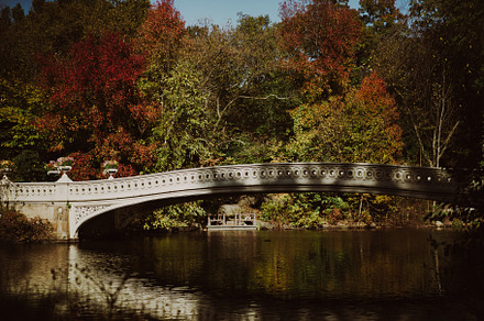 Manhattan Central Park, a Nature Photo by EVA.studio