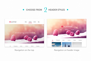 SummerCreative Portfolio HTML Theme