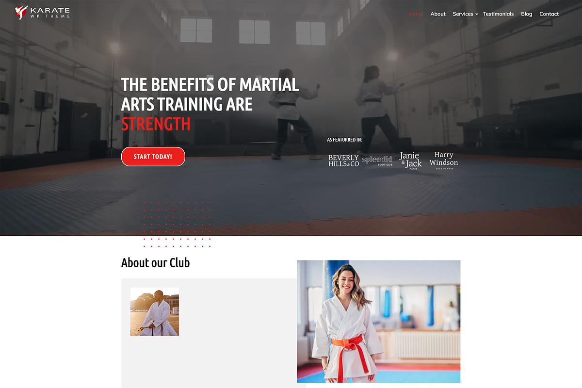 Karate WordPress Theme